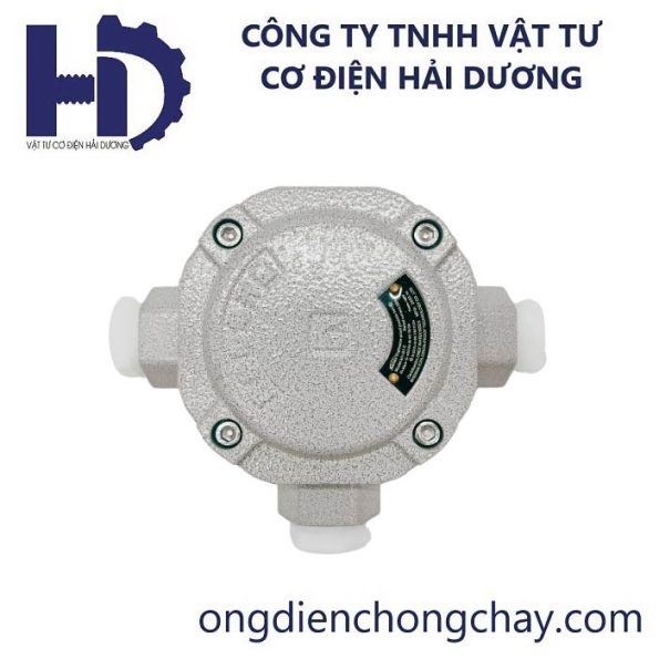 HAEX3 (2)