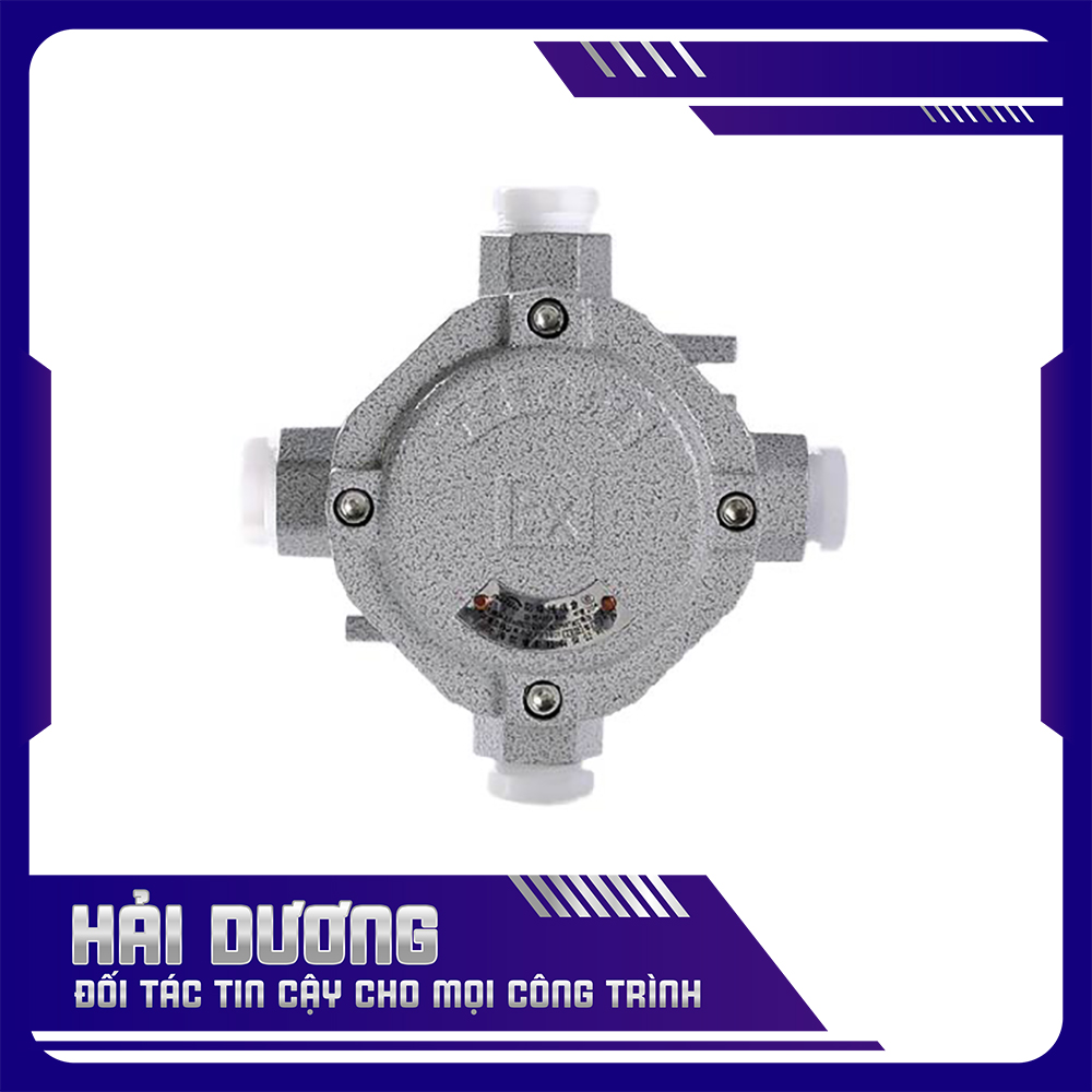 HỘP NỐI 4 NGẢ REN DÙNG CHO ỐNG IMC/RSC CHỐNG CHÁY NỔ – NƯỚC